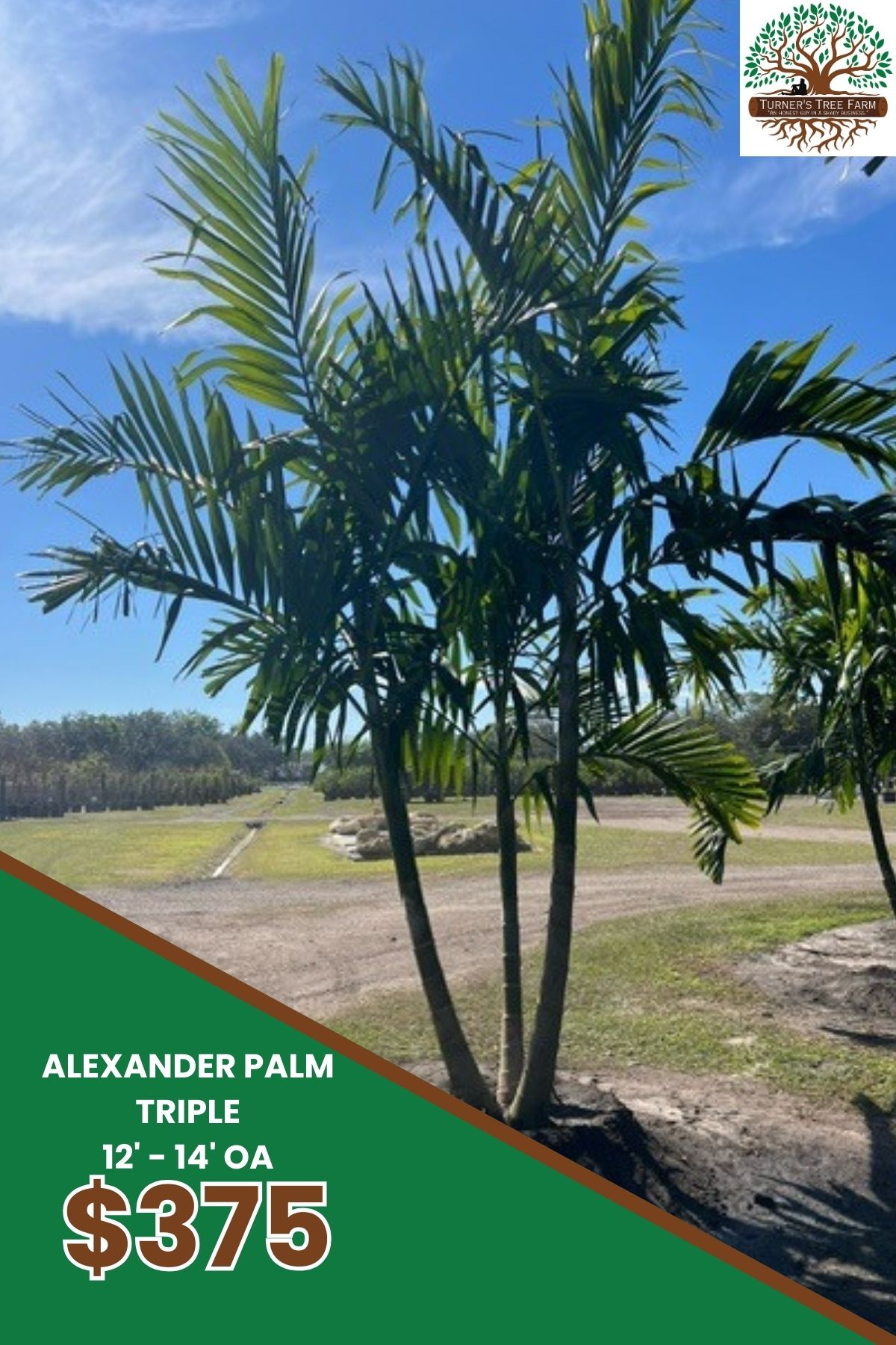 3814 Stanley Road Plant City, FL